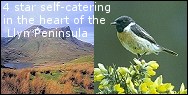 4 star self-catering in the Llyn Peninsula