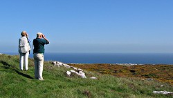 On the Great Orme, Llandudno