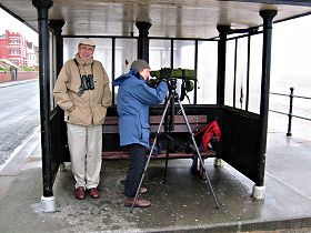 Seawatching Meols