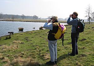 atlas work in Tatton