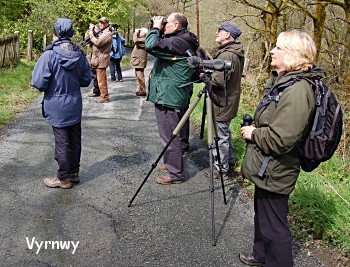 {short description of image}