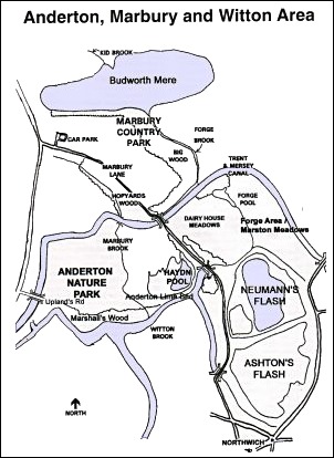 Marbury and Anderton